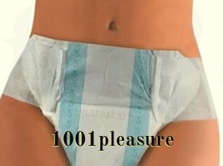 1001pleasure