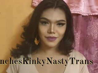 10inchesKinkyNastyTrans