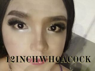 12INCHWHOACOCK