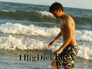 1BigDickBoyX