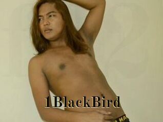 1BlackBird