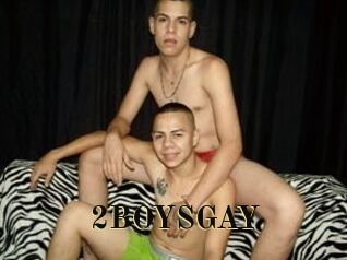 2BOYS_GAY
