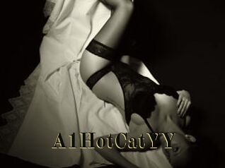 A1HotCatYY