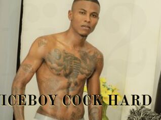 ARON_NICEBOY_COCK_HARD