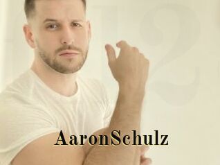 AaronSchulz