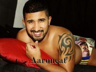 Aaroncat