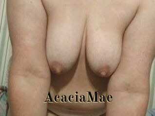 AcaciaMae