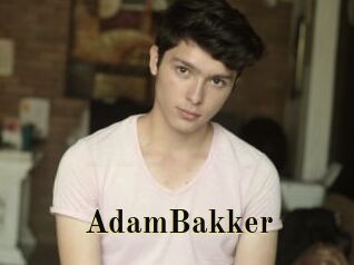 AdamBakker Films 2 Q