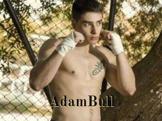 AdamBull