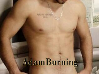 AdamBurning