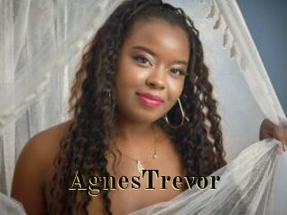 AgnesTrevor Films 2 Q