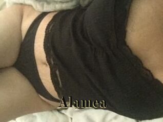 Alamea