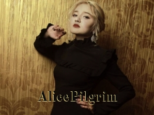 AlicePilgrim Films 2 Q