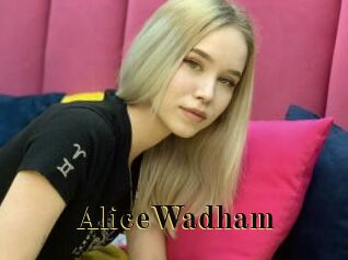 AliceWadham Films 2 Q