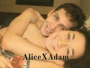 Alice_X_Adam