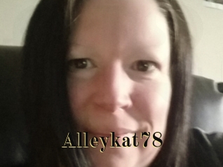 Alleykat78 Films 2 Q
