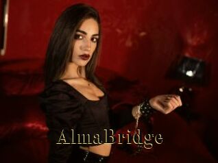 AlmaBridge Films 2 Q