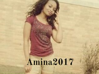 Amina2017