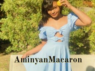 AminyanMacaron
