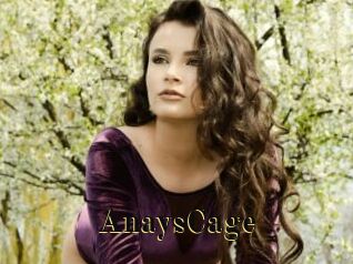 AnaysCage Films 2 Q