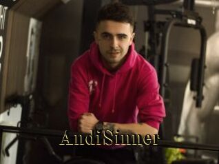 AndiSinner