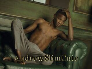 AndrewSlimCute