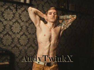 AndyTwinkX