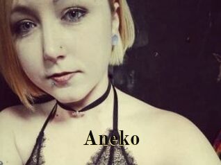 Aneko
