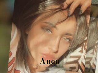 Aneu