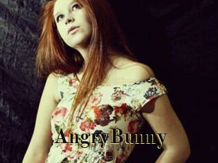 AngryBunny