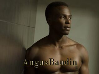 AngusBaudin