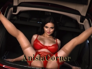 AnisiaCorner