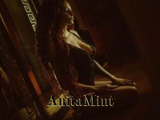 AnitaMint