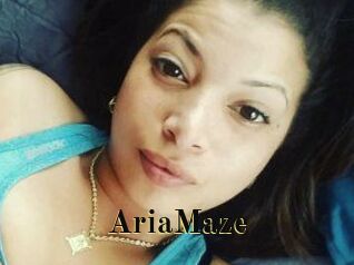 Aria_Maze