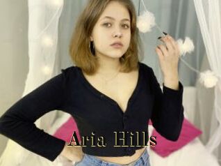 Aria_Hills Films 2 Q