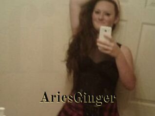 AriesGinger