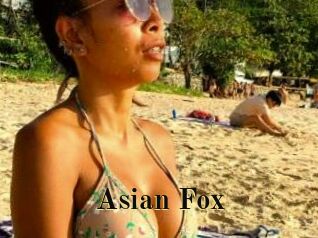 Asian_Fox