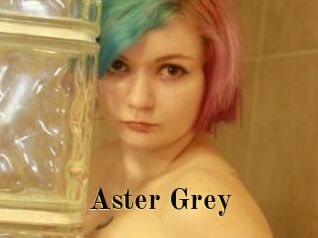 Aster_Grey