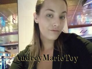 AudreyMarieToy