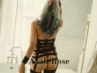 Avah_Rose