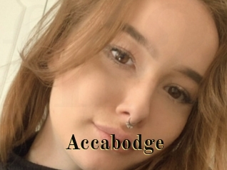 Accabodge