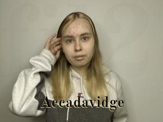 accadavidge Films 2 Q