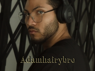 adamhairybro Films 2 Q