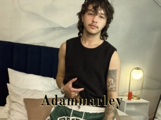 adammarley Films 2 Q