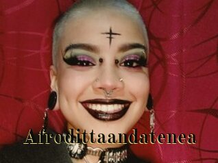 Afrodittaandatenea