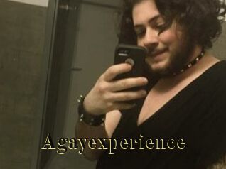 Agayexperience