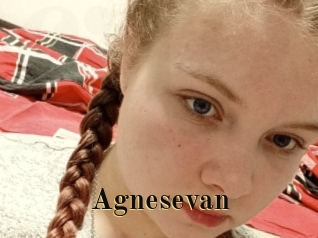 Agnesevan
