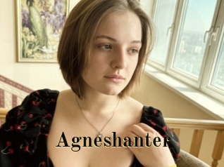 Agneshanter