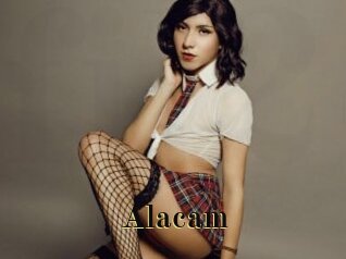 Alacam