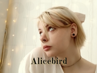 Alicebird